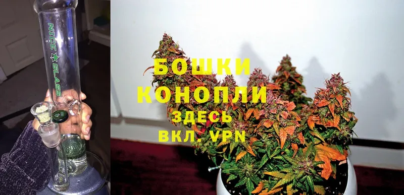 где можно купить наркотик  Гаврилов-Ям  Каннабис White Widow 